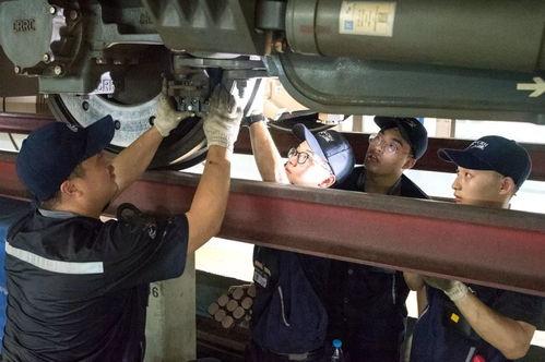 视频成人变态另类,变态现象背后的真相