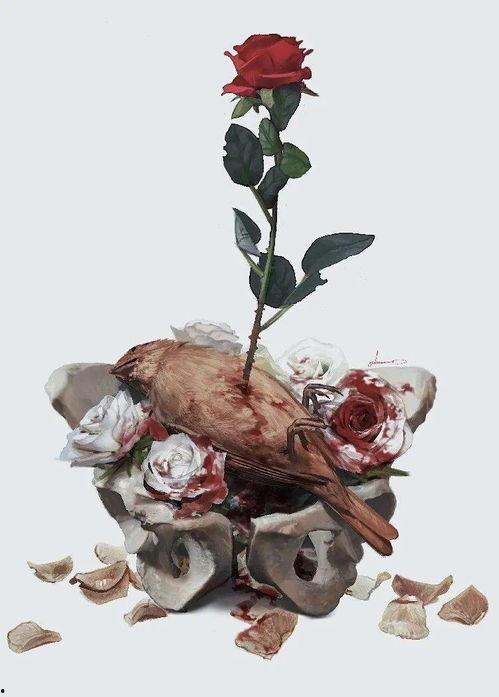 夜莺视频成人,揭秘成人世界的真实面貌