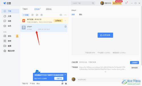 成人食品视频 迅雷下载,迅雷下载攻略与精彩内容速览