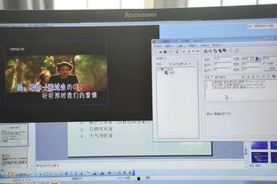 106视频成人,揭秘成人生存法则与智慧