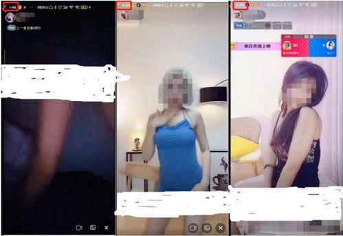 蜜柚成人版视频,探索激情与欲望的视觉盛宴