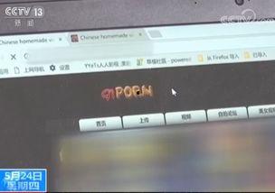 成人异性视频,隐私边界与伦理探讨